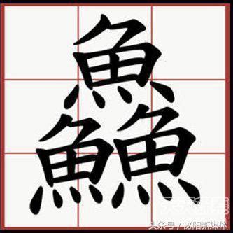 三個魚是什麼字|三個牛、三個魚、三個羊、三個……念什麼？